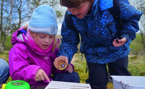 Pond Dipping 1 DSC08063